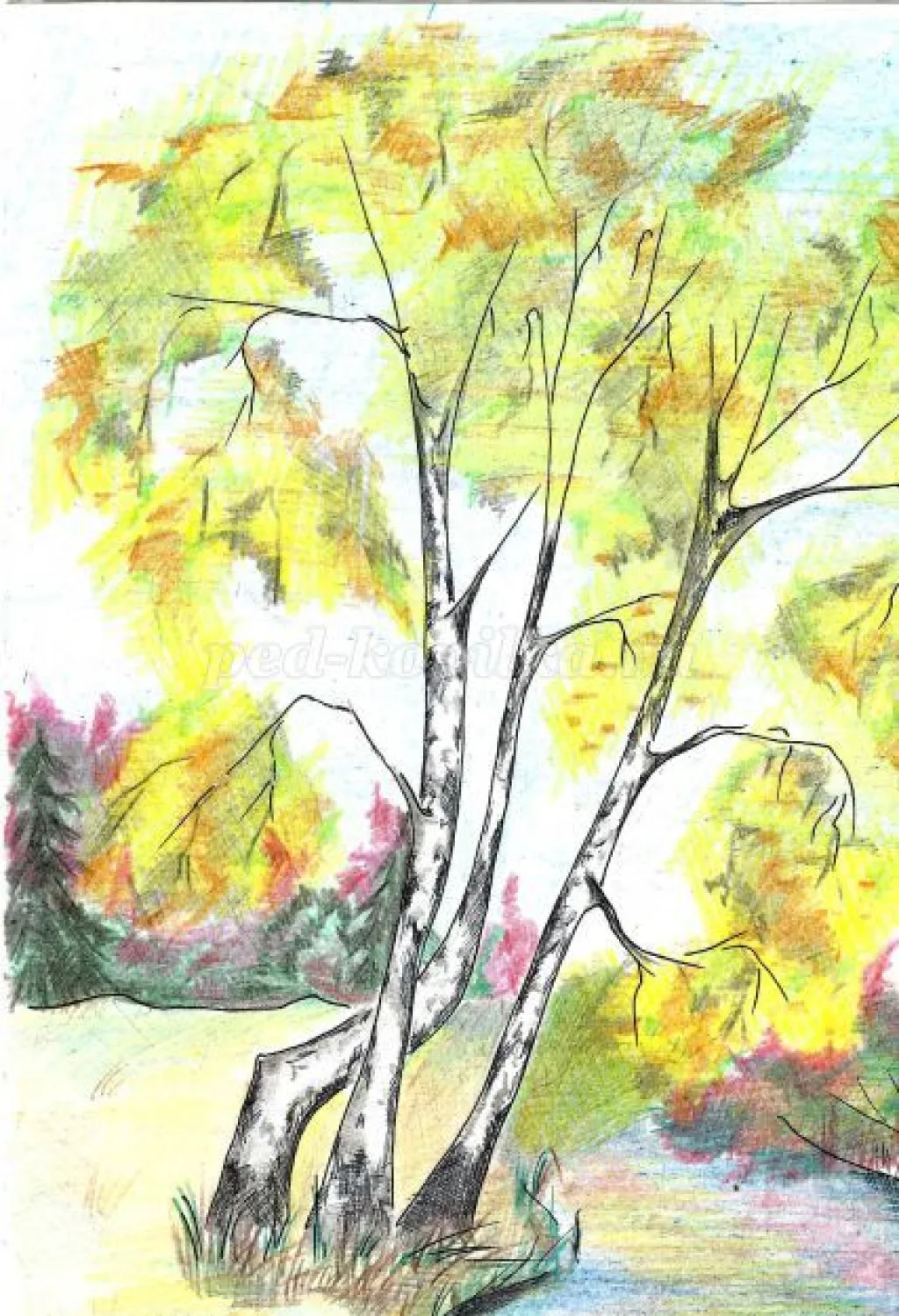 Рисунок Осень карандашом