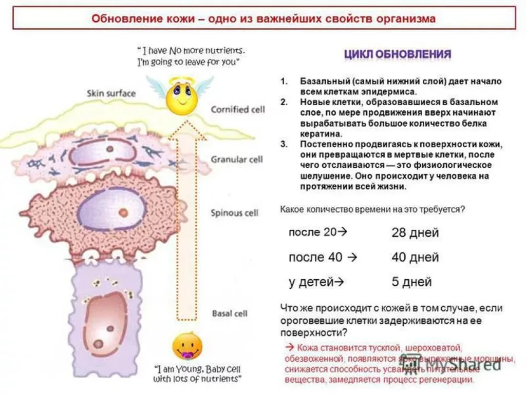 действия соды на кожу лица