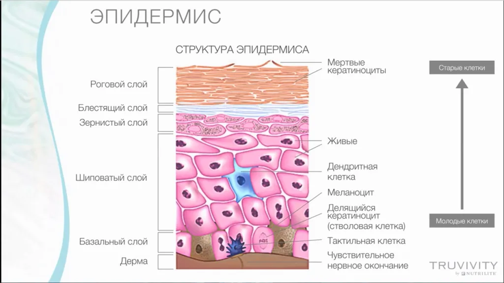 действия соды на кожу лица