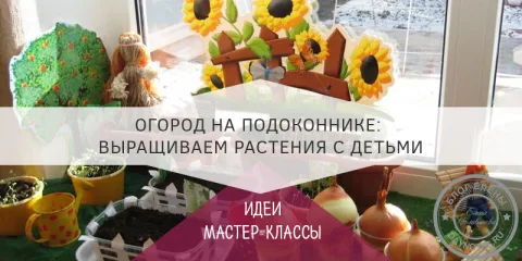 Огород на подоконнике: выращиваем растения с детьми