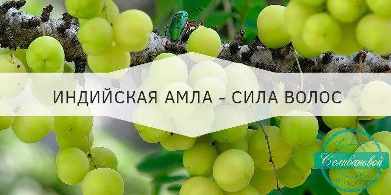 масло амлы для кожи и волос