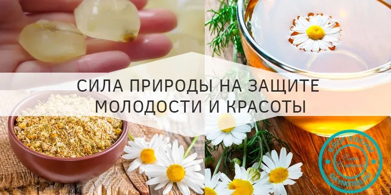 отвар ромашки +для лица