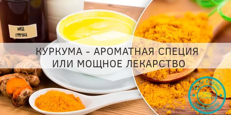 Куркума польза и вред для здоровья