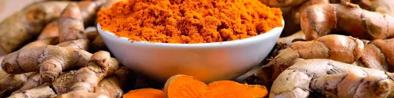 Куркума польза и вред для здоровья