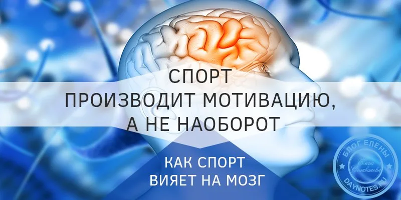 как спорт влияет на мозг