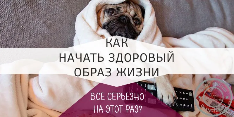 как начать здоровый образ жизни