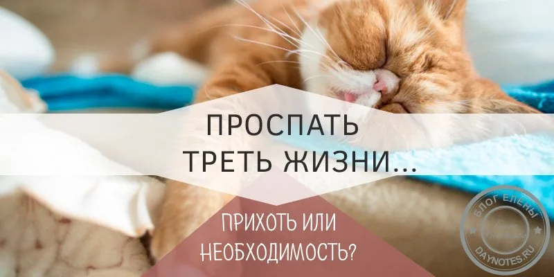 сколько нужно спать человеку чтобы выспаться