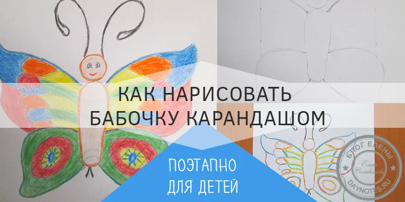 как нарисовать бабочку карандашом поэтапно для детей