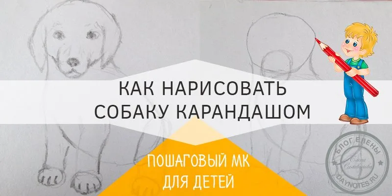как нарисовать собаку карандашом поэтапно для начинающих детей
