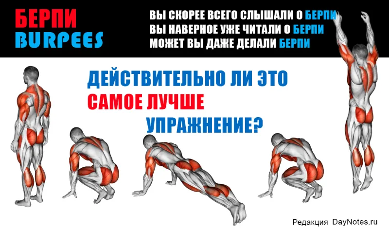 берпи для начинающих