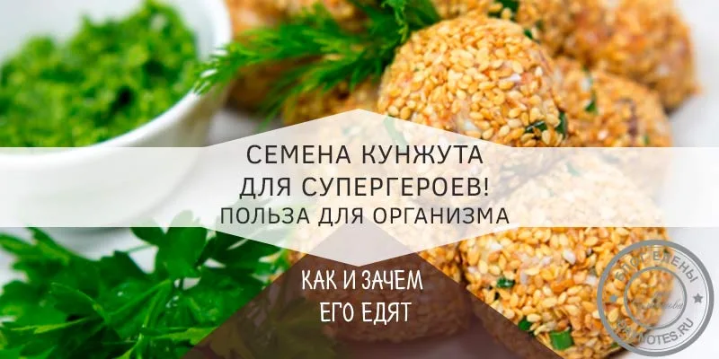 Семена кунжута полезные свойства и противопоказания