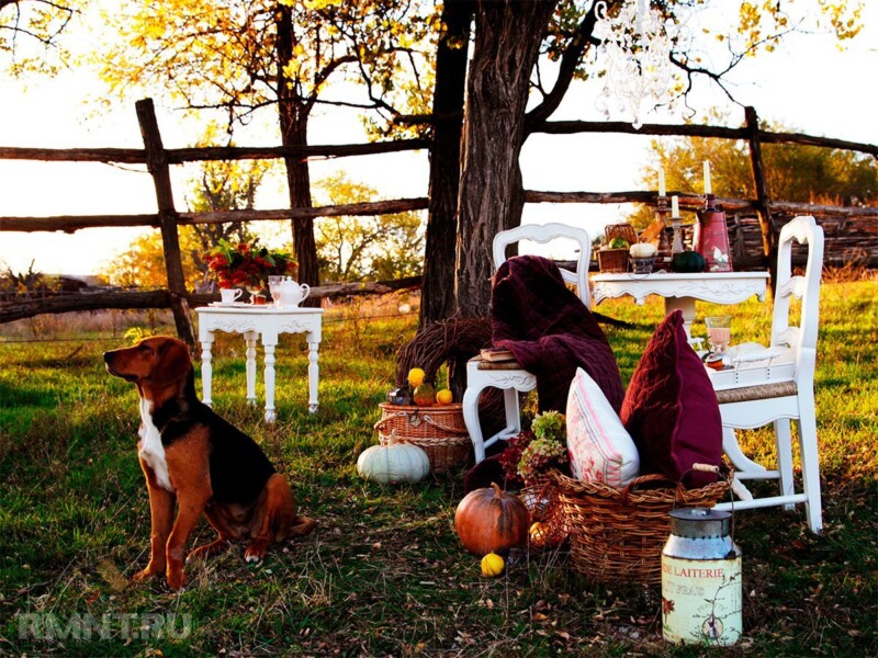 Осенний пикник с детьми: советы для отличного отдыха