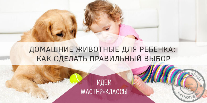 Домашние животные для ребенка: как сделать правильный выбор