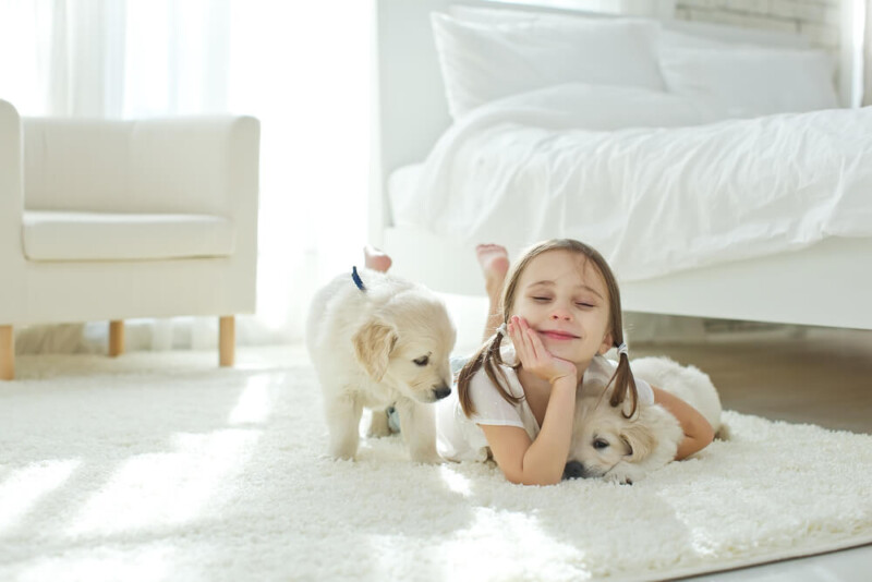 Собака для семьи с ребенком: советы для тех, кто хочет завести питомца
